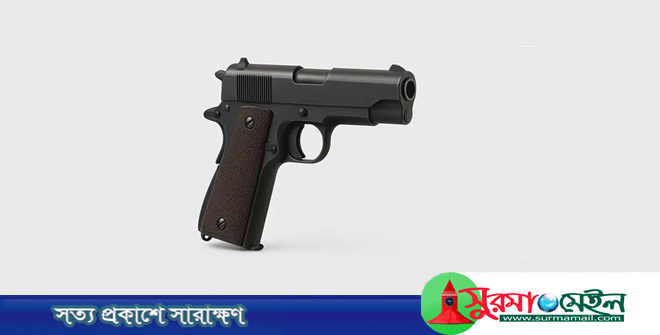 রাজনৈতিক ব্যক্তি ও এমপি প্রার্থীদের আগ্নেয়াস্ত্রের লাইসেন্সের নীতিমালা জারি
