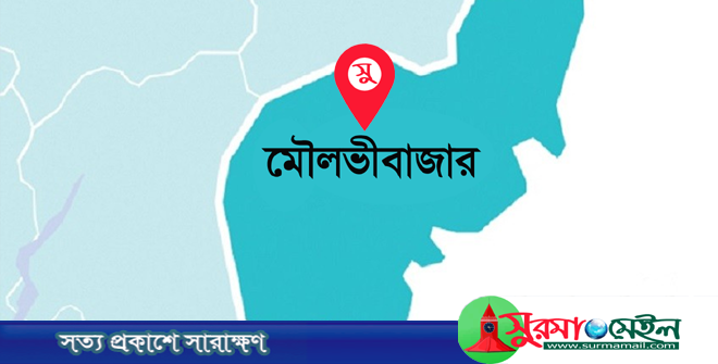 বড়লেখায় ২ ভাইকে কুপিয়ে হত্যা