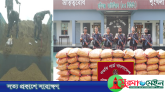 কৌশলে পাচার হচ্ছিল ভারতীয় জিরার চালান, আটক করলো বিজিবি