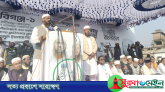 ক্ষমতায় গেলে নবীগঞ্জ-বাহুবলের ঘরে ঘরে গ্যাস পৌঁছে দেয়া হবে: মামুনুল হক