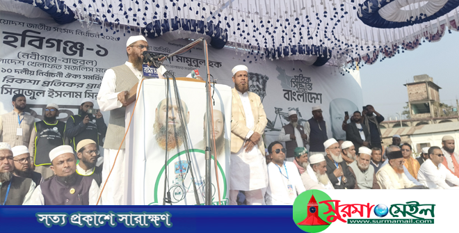 ক্ষমতায় গেলে নবীগঞ্জ-বাহুবলের ঘরে ঘরে গ্যাস পৌঁছে দেয়া হবে: মামুনুল হক