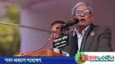 একটি দল পাকিস্তানপন্থি হয়ে এখন বাংলাদেশ গড়তে চায়: মির্জা ফখরুল