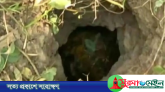 মারা গেছে নলকূপের গর্তে পড়ে যাওয়া সেই শিশু