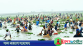 সিলেটে মৃদু শৈত্যপ্রবাহ উপেক্ষা করে পলো বাওয়া উৎসব