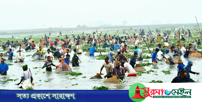 সিলেটে মৃদু শৈত্যপ্রবাহ উপেক্ষা করে পলো বাওয়া উৎসব