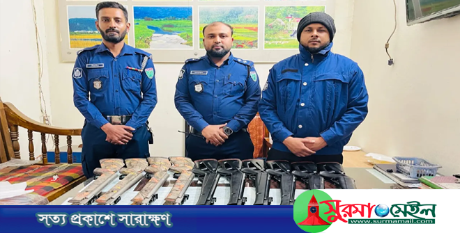 সিলেটে চেকপোস্টে তল্লাশিকালে ১০টি আগ্নেয়াস্ত্র উদ্ধার