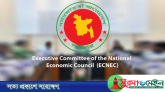 তারেক রহমানকে সভাপতি করে একনেকসহ ৩ কমিটি পুনর্গঠন