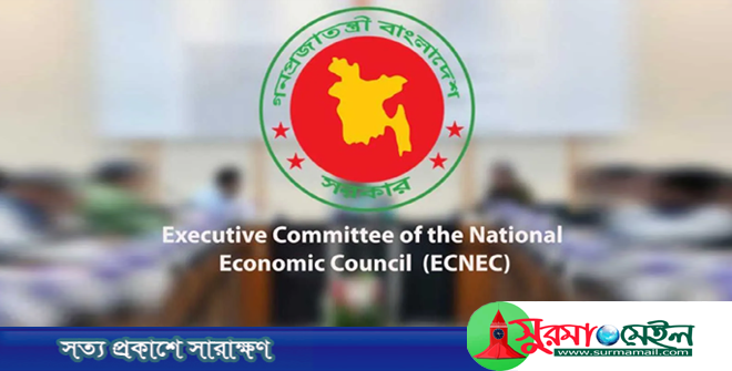 তারেক রহমানকে সভাপতি করে একনেকসহ ৩ কমিটি পুনর্গঠন