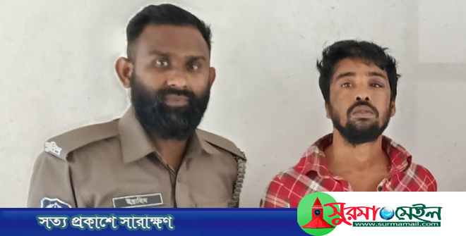বেপরোয়া পিকআপ থামাতে গিয়ে পুলিশের ওপর হামলা, চালক আটক