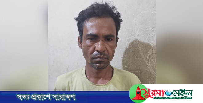 সিলেটে ‘ছিনতাই, হত্যা ও মাদক’সহ ১৪ মামলার আসামি গ্রেপ্তার