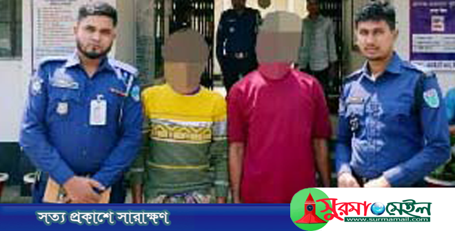কানাইঘাটে ভারতীয় নাসির বিড়ির চালানসহ গ্রেফতার ২