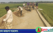 জগদল-মাটিয়াপুর সড়কের টাকা যাচ্ছে কার পকেটে?