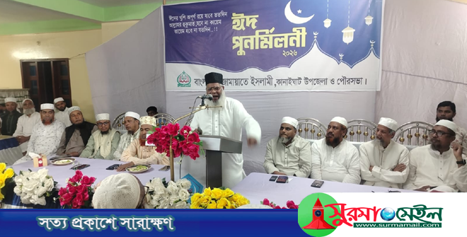 জুলাই সনদ বাস্তবায়নে টালবাহনা করেছে সরকার: হাবিবুর রহমান