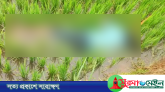 জৈন্তাপুরে ধানক্ষেত থেকে যুবকের মরদেহ উদ্ধার