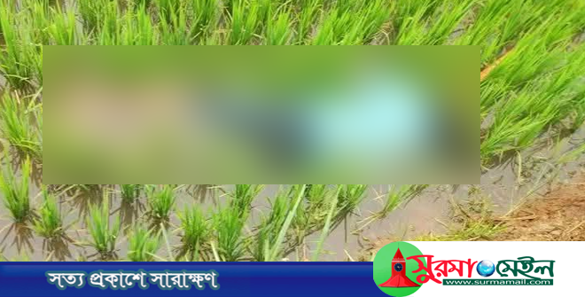 জৈন্তাপুরে ধানক্ষেত থেকে যুবকের মরদেহ উদ্ধার