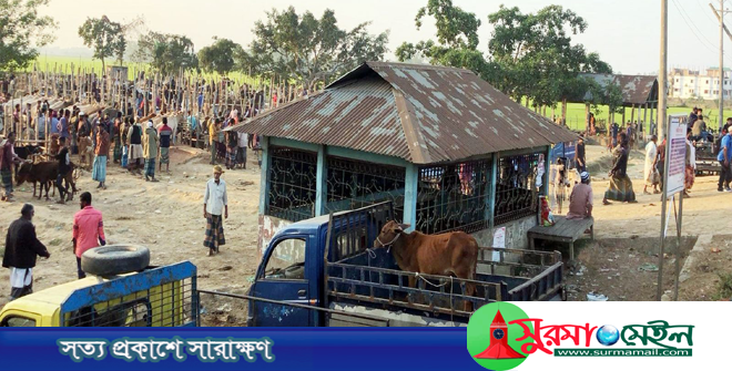 ঢাকা-সিলেট মহাসড়কের বিষফোঁড়া জনতার ও মেলার বাজার পশুরহাট