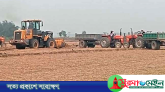 কানাইঘাটে আবাদি জমির মাটি কাটার হিড়িক, হুমকিতে কৃষি ও পরিবেশ