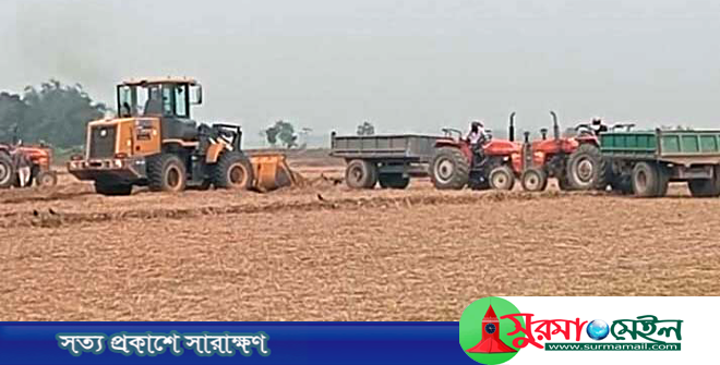 কানাইঘাটে আবাদি জমির মাটি কাটার হিড়িক, হুমকিতে কৃষি ও পরিবেশ