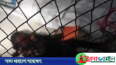 গোয়াইনঘাটে খামার থেকে কিশোরের গলাকাটা লাশ উদ্ধার, পাশে প্রস্তুত ছিল কবর