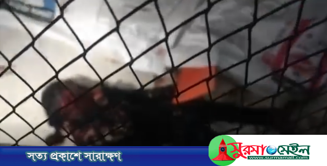 গোয়াইনঘাটে খামার থেকে কিশোরের গলাকাটা লাশ উদ্ধার, পাশে প্রস্তুত ছিল কবর