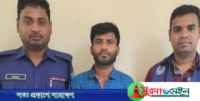 হবিগঞ্জে চা বাগানে বেড়াতে যাওয়া তরুণীকে ধর্ষণ, গ্রেপ্তার ১