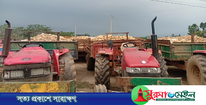 সিলেটে বিপুল পরিমাণ অবৈধ পাথর উদ্ধার, ৩৯ ট্রাক্টরসহ আটক ৫