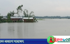 বন্যায় প্লাবিত মৌলভীবাজার, পানিবন্দি হাজারো মানুষ