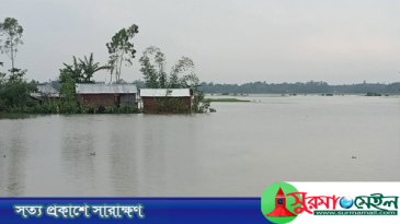 বন্যায় প্লাবিত মৌলভীবাজার, পানিবন্দি হাজারো মানুষ