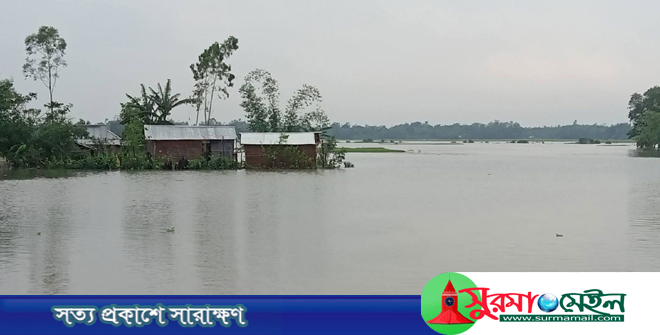 বন্যায় প্লাবিত মৌলভীবাজার, পানিবন্দি হাজারো মানুষ