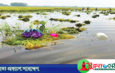 নবীগঞ্জ হাওরে তলিয়ে গেছে কৃষকের স্বপ্ন
