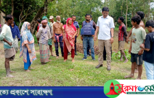 হবিগঞ্জে সরকারি জমি নিয়ে সংঘর্ষে কলেজ ছাত্র নিহত, আহত ৩০