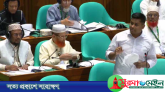 বিসিবি এখন ‘বাপের দোয়া ক্রিকেট বোর্ড’: সংসদে হাসনাত আবদুল্লাহ