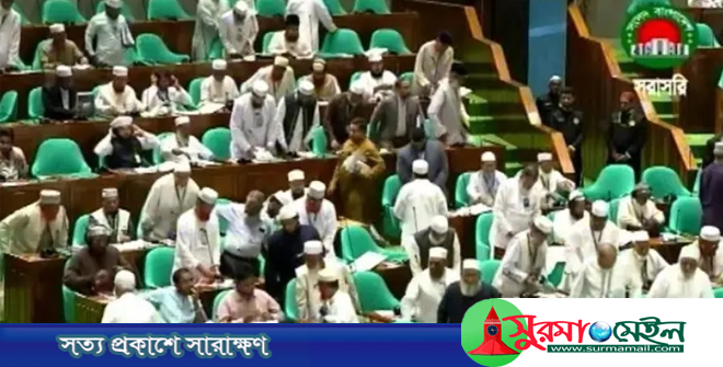 সংসদ অধিবেশন থেকে জামায়াত-এনসিপির ওয়াকআউট