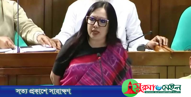 ঢাকায় লোডশেডিং ১-২ ঘণ্টা, গ্রামে ১৪ ঘণ্টা: রুমিন ফারহানা