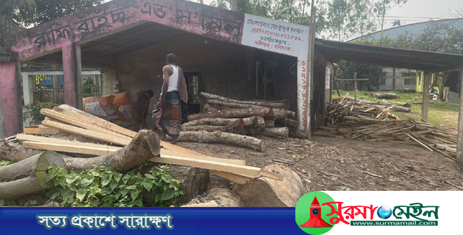 বন বিভাগের সীমানায় অবৈধ সমিলের ছড়াছড়ি, ব্যবস্থা নিচ্ছে না কর্তৃপক্ষ!