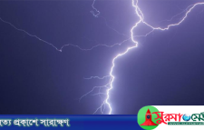 হাওরে হাঁস চড়াতে গিয়ে বজ্রপাতে খামারির মৃত্যু