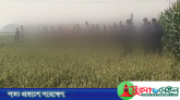 ভুট্টাক্ষেতে পাওয়া গেল নিখোঁজ শিশুর মরদেহ