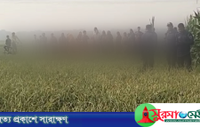 ভুট্টাক্ষেতে পাওয়া গেল নিখোঁজ শিশুর মরদেহ