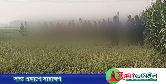 ভুট্টাক্ষেতে পাওয়া গেল নিখোঁজ শিশুর মরদেহ