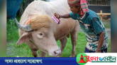 ‘ডোনাল্ড ট্রাম্প’ এখন জাতীয় চিড়িয়াখানায়!