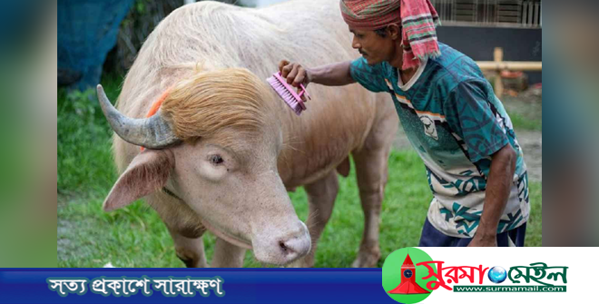 ‘ডোনাল্ড ট্রাম্প’ এখন জাতীয় চিড়িয়াখানায়!