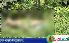 মাধবপুরে জঙ্গলে মিললো বিশ্ববিদ্যালয় ছাত্রের অর্ধগলিত লাশ