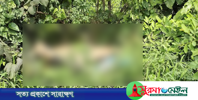 মাধবপুরে জঙ্গলে মিললো বিশ্ববিদ্যালয় ছাত্রের অর্ধগলিত লাশ