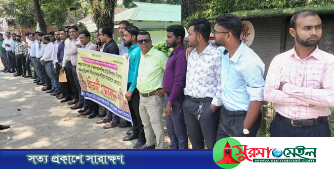 পেশাগত মর্যাদা রক্ষার দাবিতে কানাইঘাটে ওষুধ কোম্পানি প্রতিনিধিদের মানববন্ধন