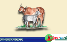 ঈদুল আজহা: ত্যাগ আর আত্মশুদ্ধির উৎসব
