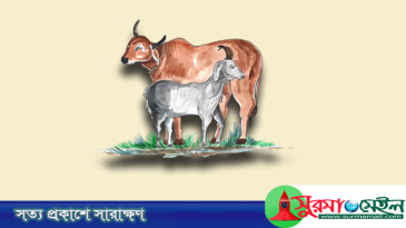 ঈদুল আজহা: ত্যাগ আর আত্মশুদ্ধির উৎসব