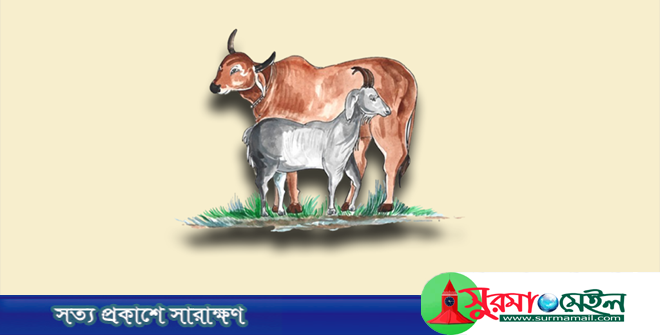 ঈদুল আজহা: ত্যাগ আর আত্মশুদ্ধির উৎসব