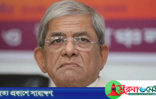 শিশু ধর্ষণ ও হত্যা বিচ্ছিন্ন ঘটনা নয়: মির্জা ফখরুল
