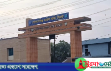 সিলেটে স্বামীর হাতে স্ত্রী খুন