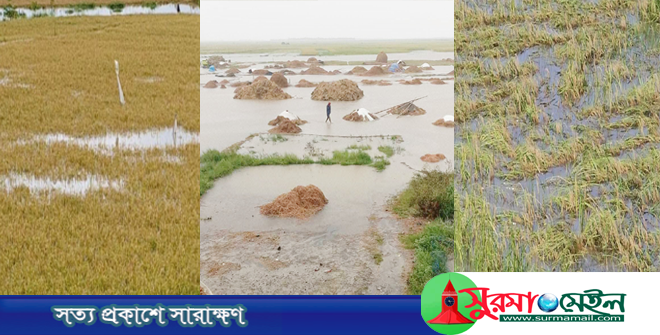 হবিগঞ্জে বন্যায় ৩৪৩ কোটি টাকার ক্ষয়ক্ষতি